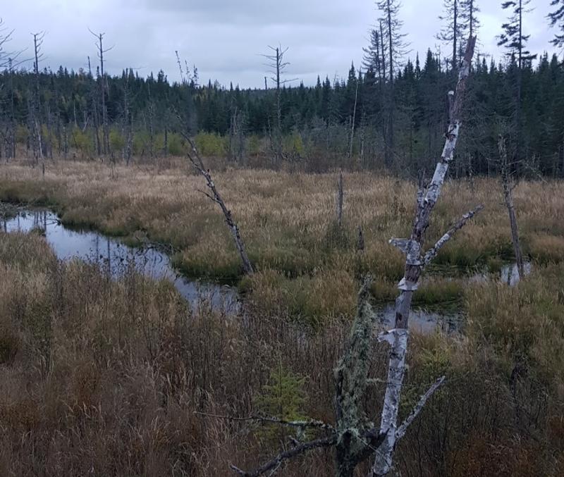 Photo - commentaire&nbsp;1.