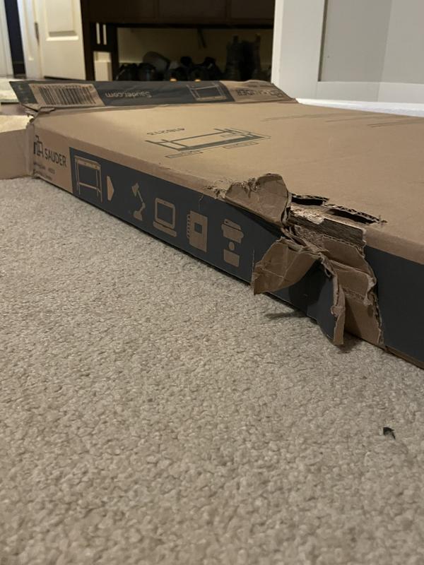 Photo - commentaire 7.