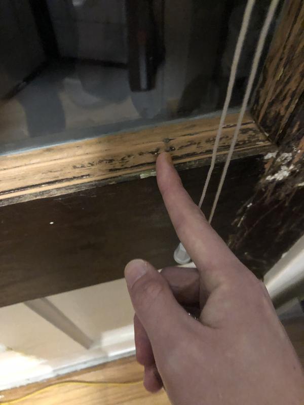 Photo - commentaire&nbsp;3.