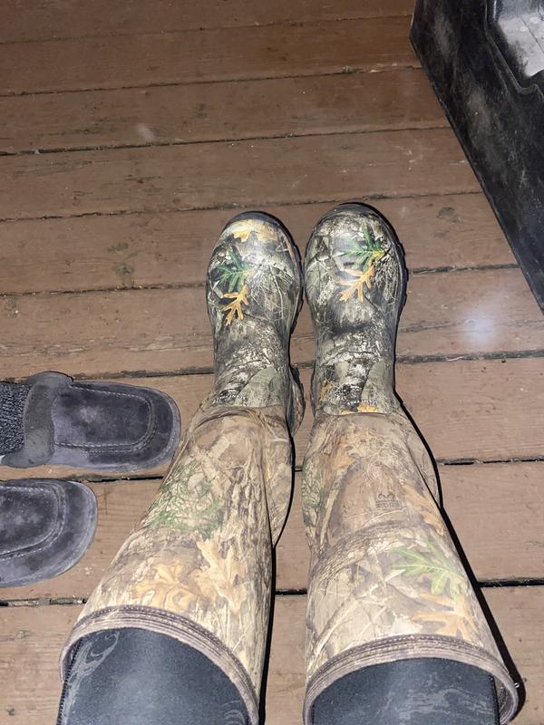 Photo - commentaire 2.