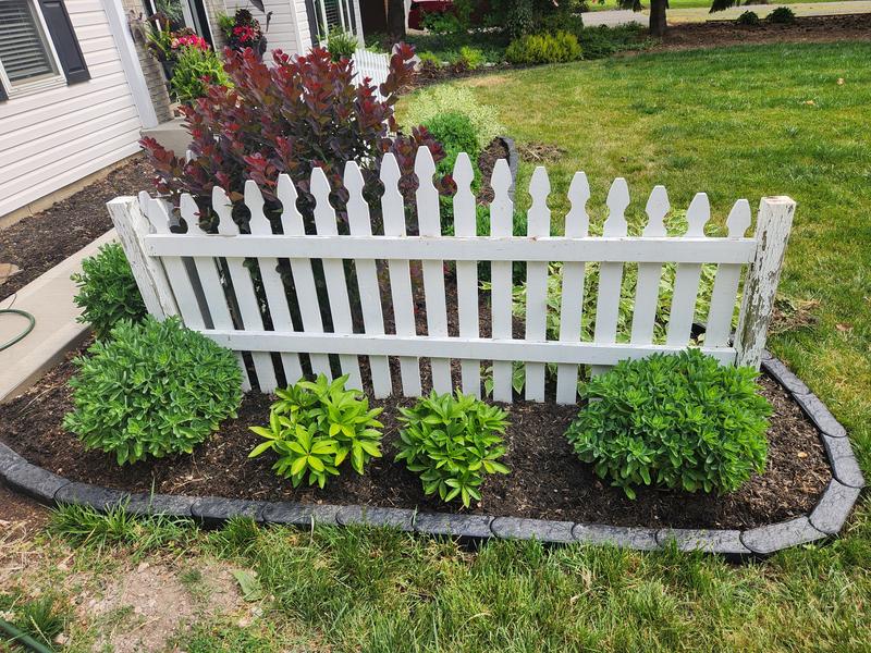 Photo - commentaire&nbsp;3.