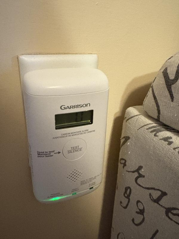 Garrison C02 detector.