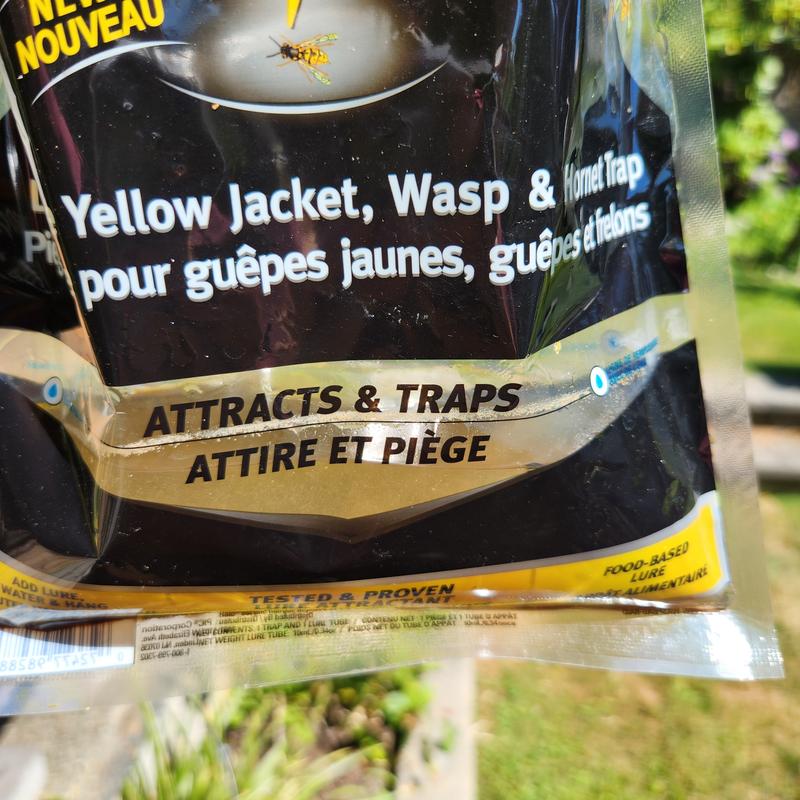 Photo - commentaire 2.