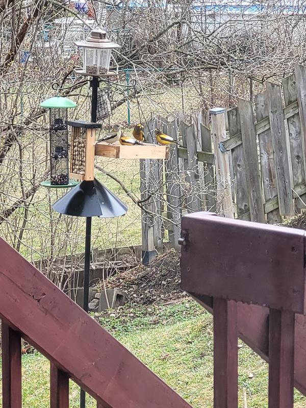 Le poteau est à 4 mètres de mon patio tel que recommandé.