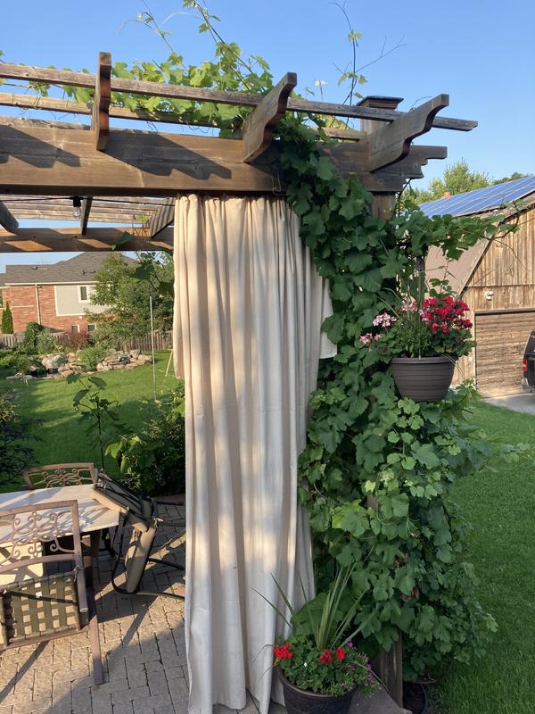 Photo - commentaire 1.