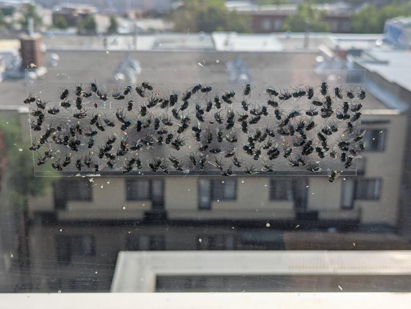 Photo - commentaire&nbsp;1.