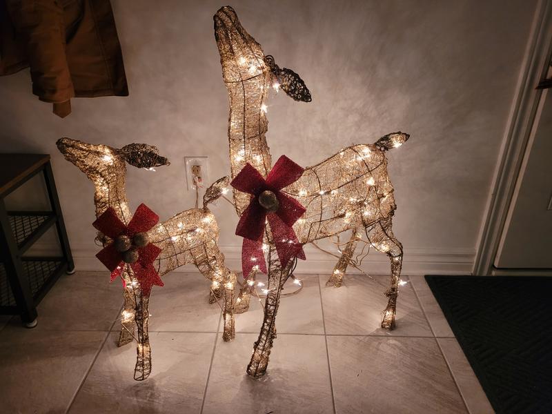 Photo - commentaire&nbsp;7.