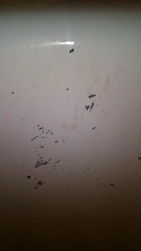 The inside of the tub.