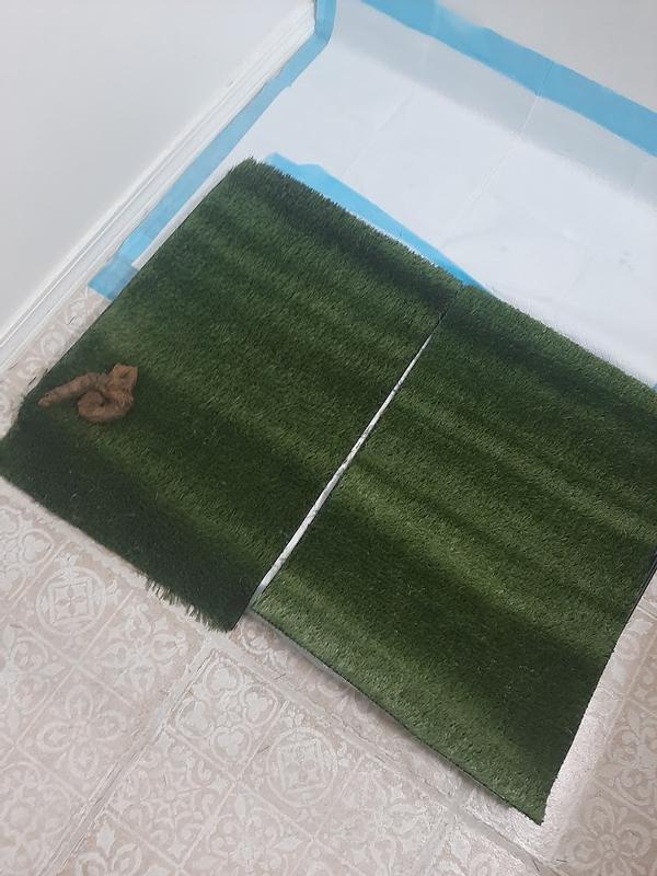 Photo - commentaire 1.