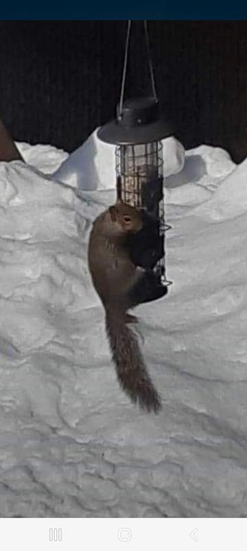 Photo - commentaire&nbsp;2.