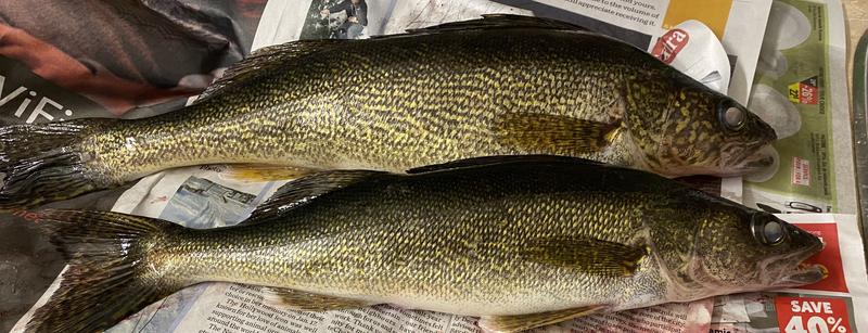 Photo - commentaire 2.