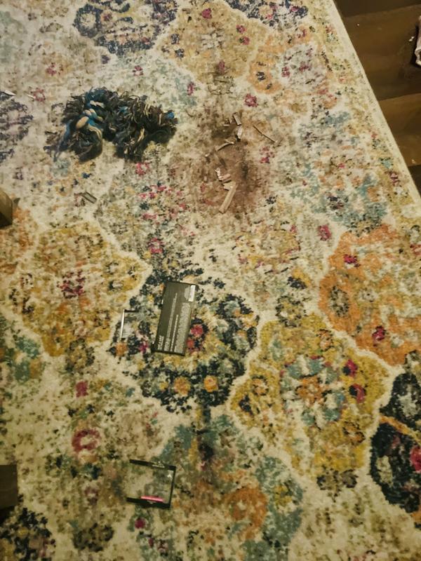 Photo - commentaire 7.