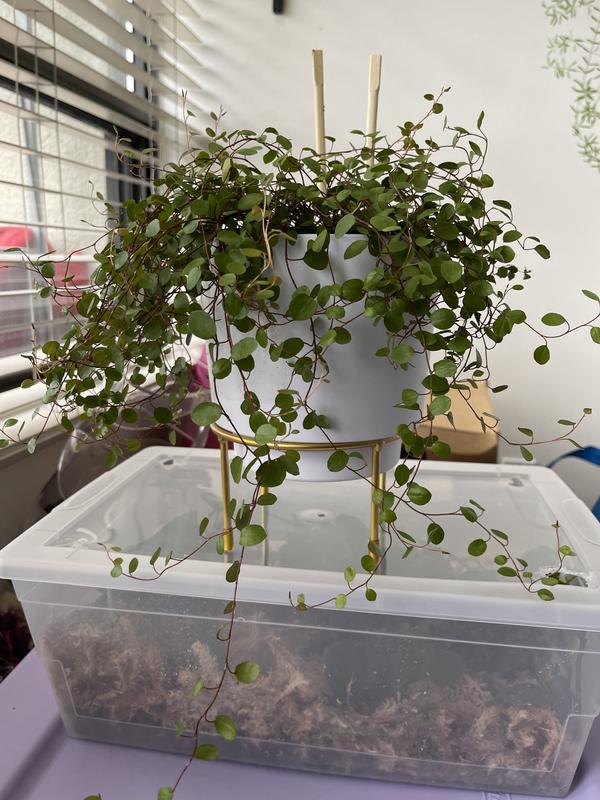 Photo - commentaire&nbsp;2.