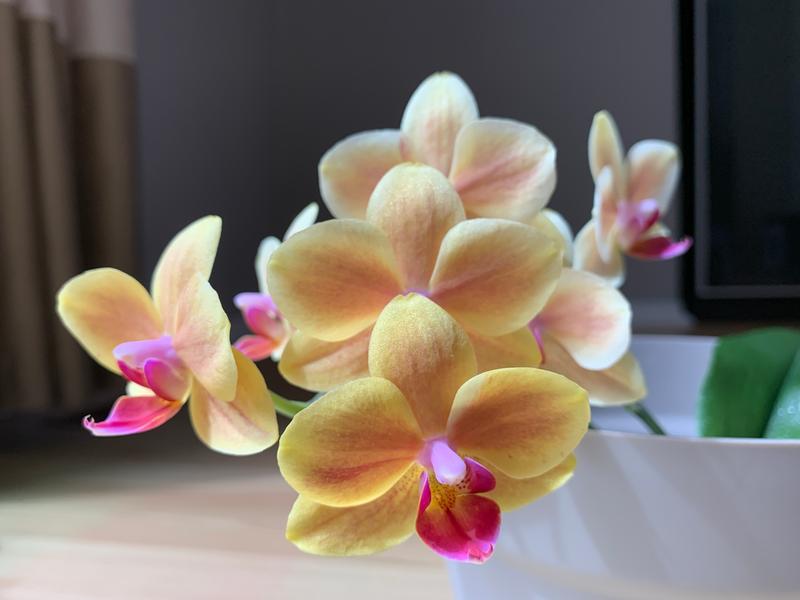 Photo - commentaire&nbsp;3.