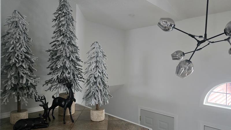 Photo - commentaire 1.