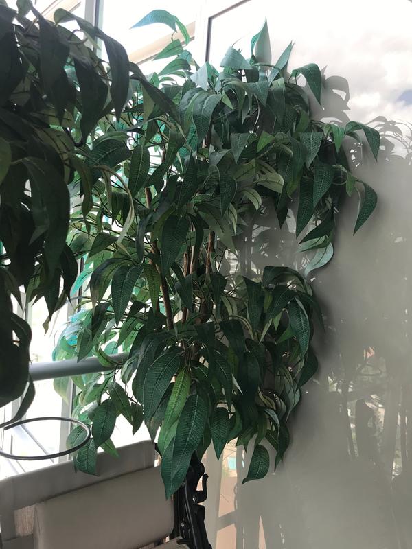 Photo - commentaire&nbsp;2.