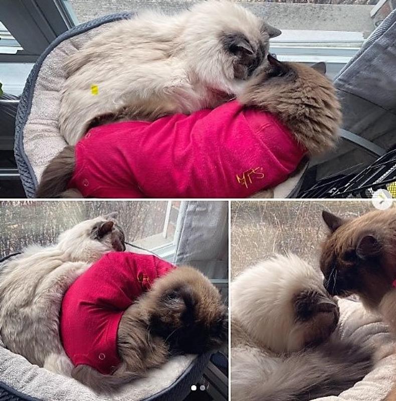 A little snug with 2 in the bed.