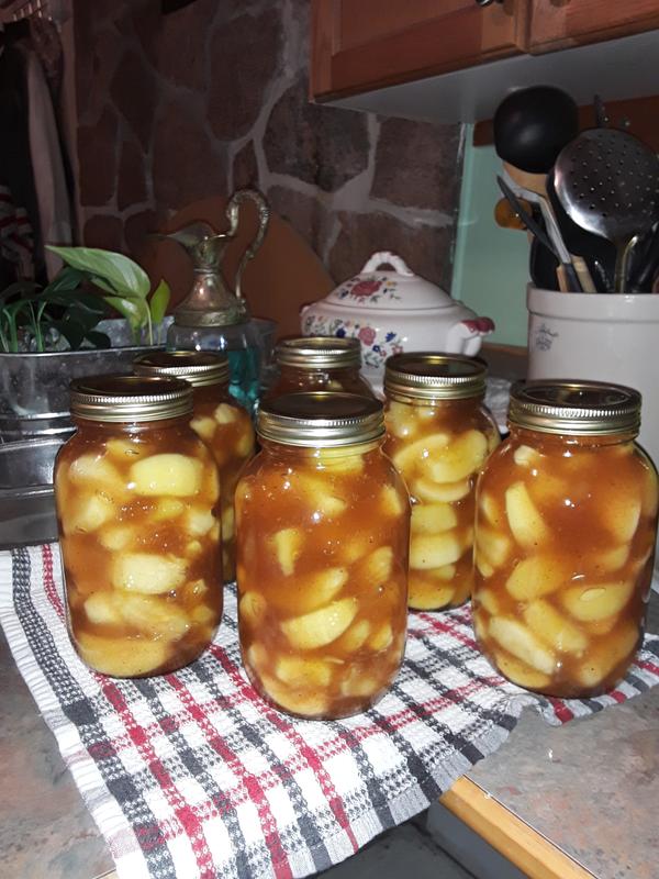 Apple pie filling