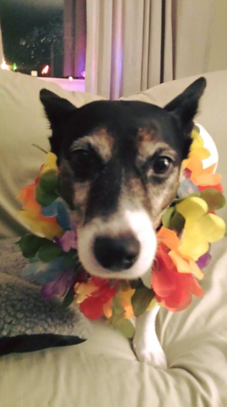 Piper girl's tropical look