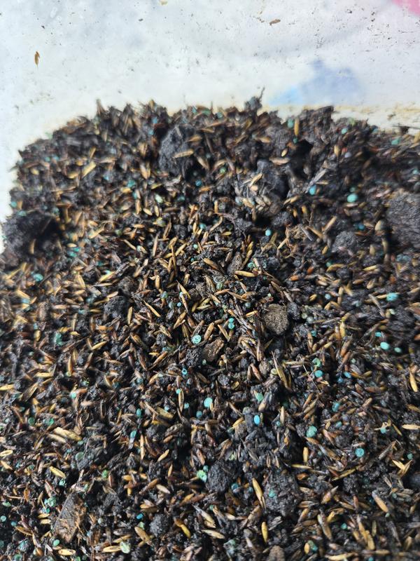 Photo - commentaire 1.