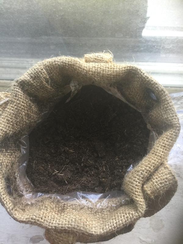 Photo - commentaire&nbsp;1.