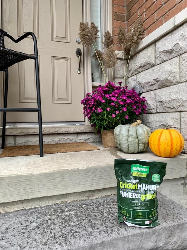 Photo - commentaire 4.