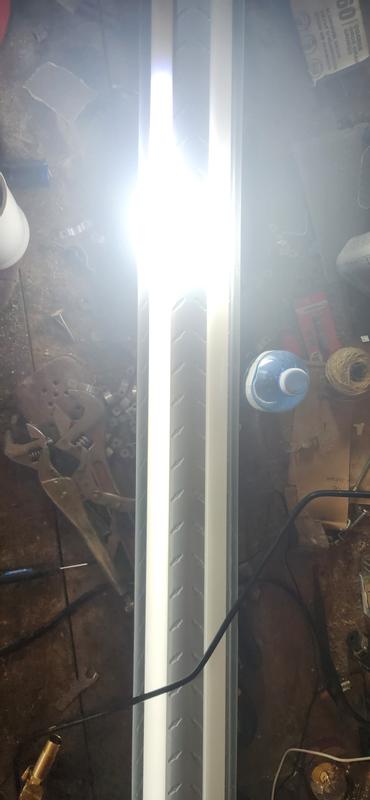 First one off, second picture on