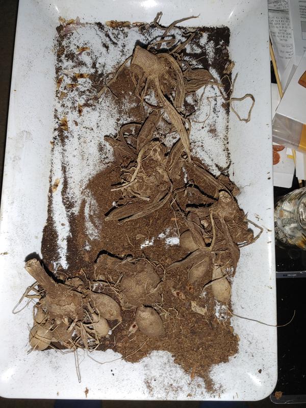 Photo - commentaire&nbsp;1.