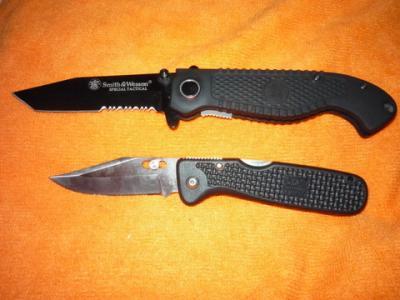 Top knife is the S&W and the bottom one is the SOG Mini Clip (AC-10)