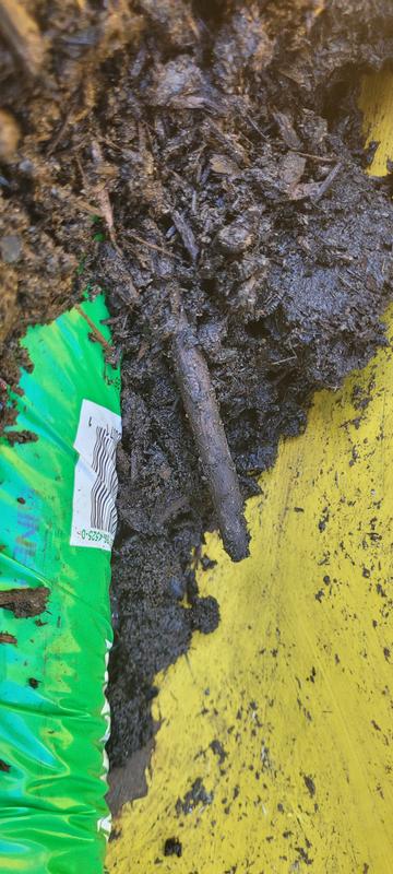 Wood in soil
