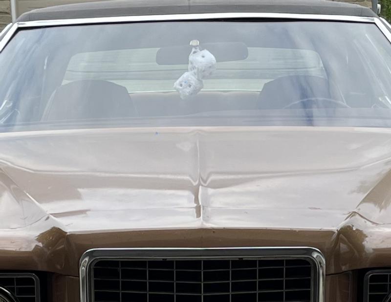 Photo - commentaire 2.