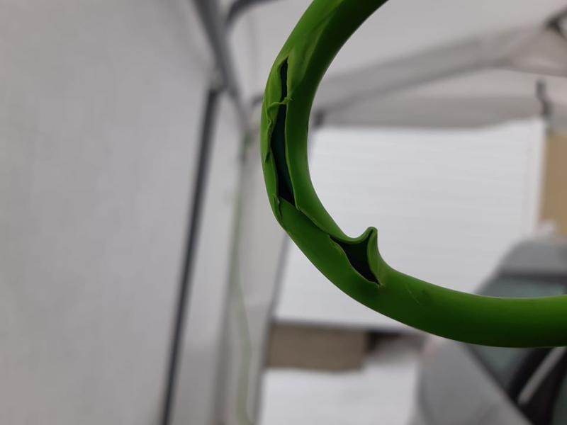 Photo - commentaire 1.