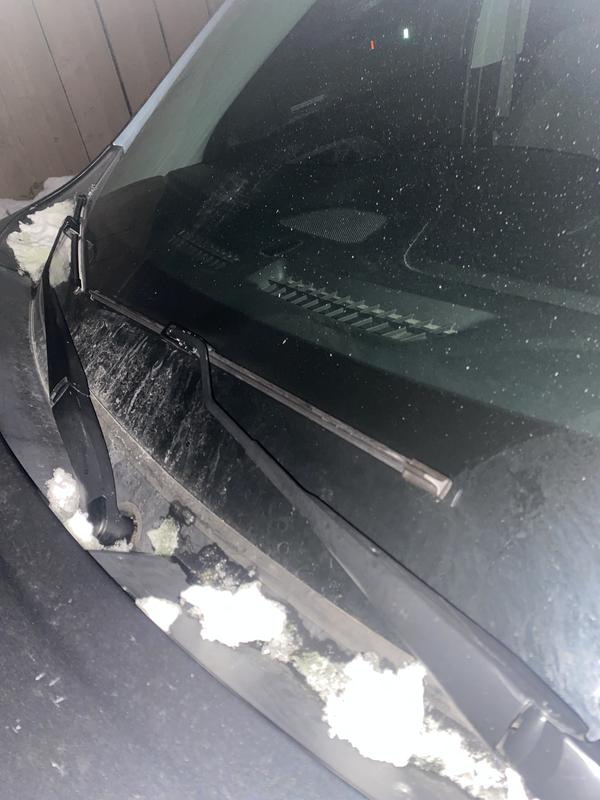 Photo - commentaire&nbsp;1.