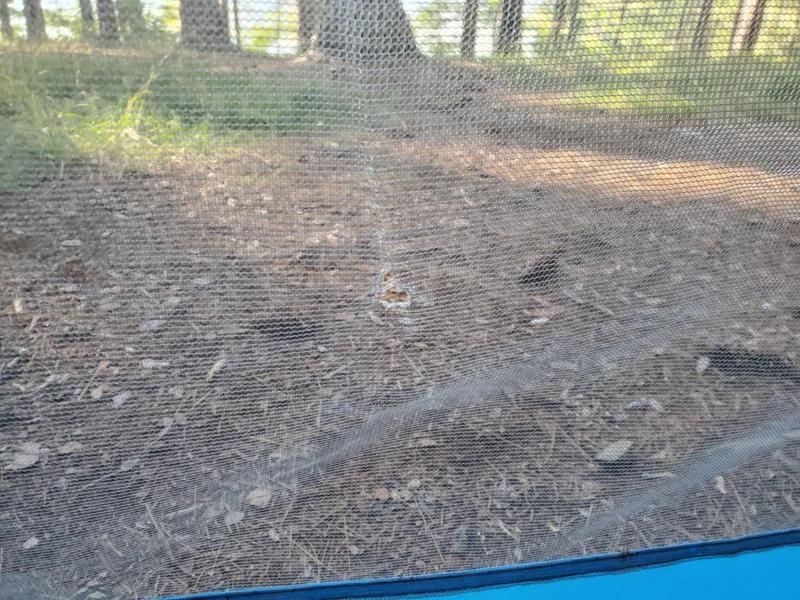 Photo - commentaire&nbsp;7.