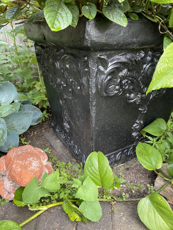 Photo - commentaire&nbsp;1.