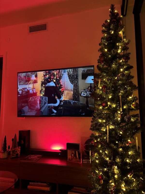 Photo - commentaire 5.