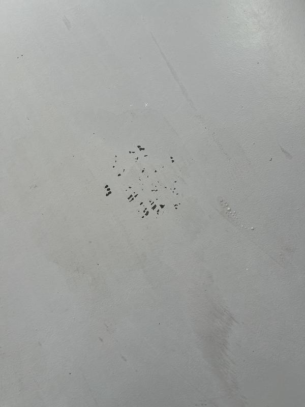 Photo - commentaire 3.