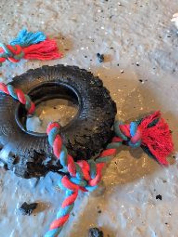 Photo - commentaire 1.