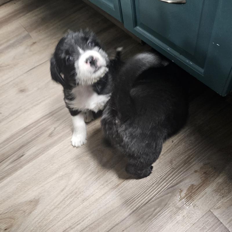 Photo - commentaire&nbsp;1.