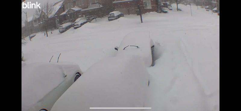 My helping hand in wintee