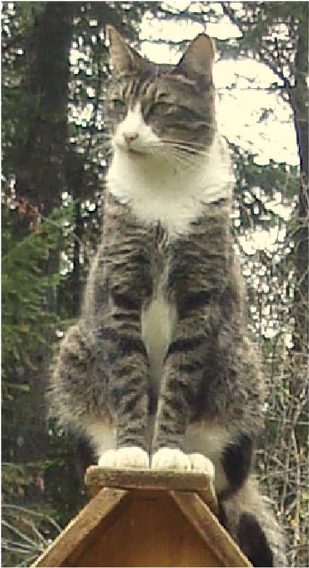 Photo - commentaire 3