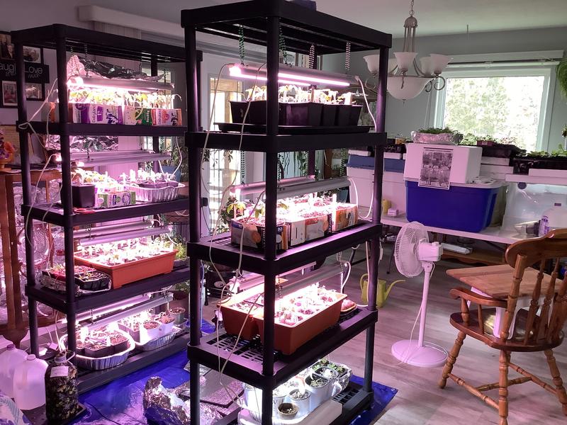 Photo - commentaire&nbsp;1.