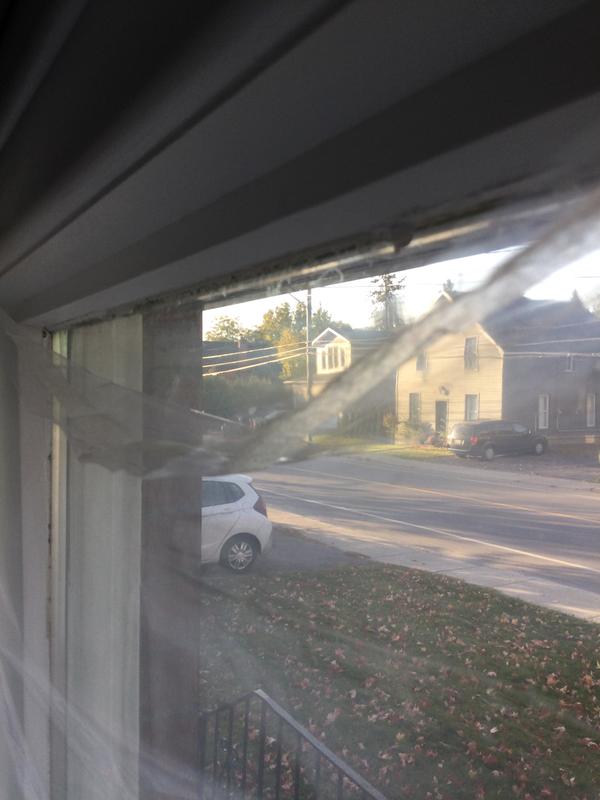 Tape failing within two weeks