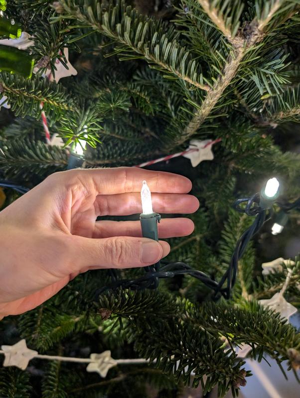 Photo - commentaire 7.