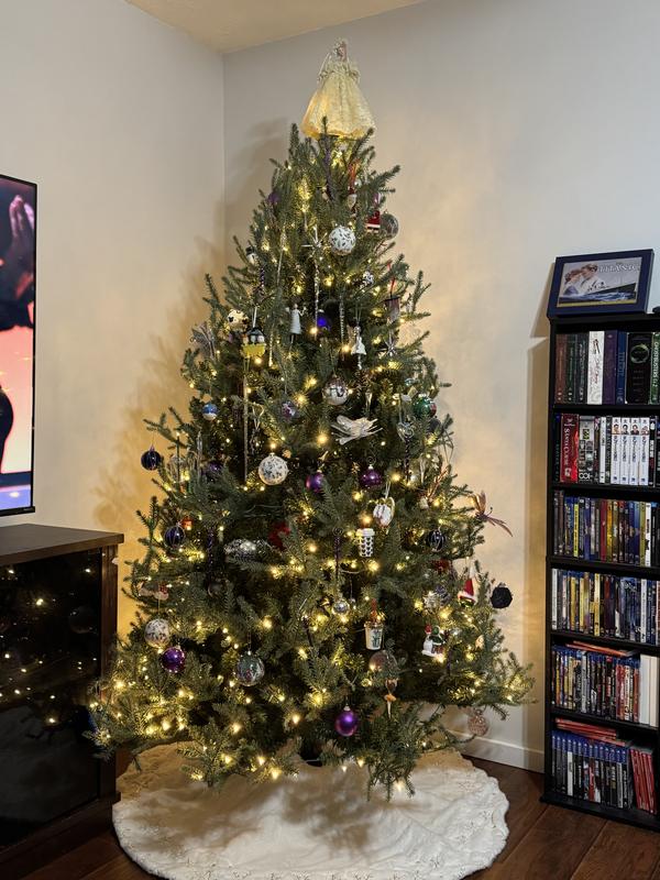 Photo - commentaire&nbsp;1.