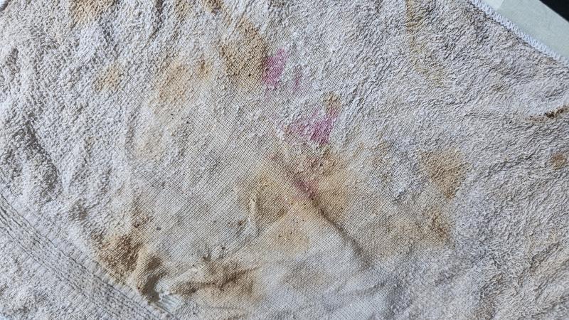 Photo - commentaire 2.