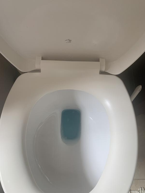 Photo - commentaire 5.