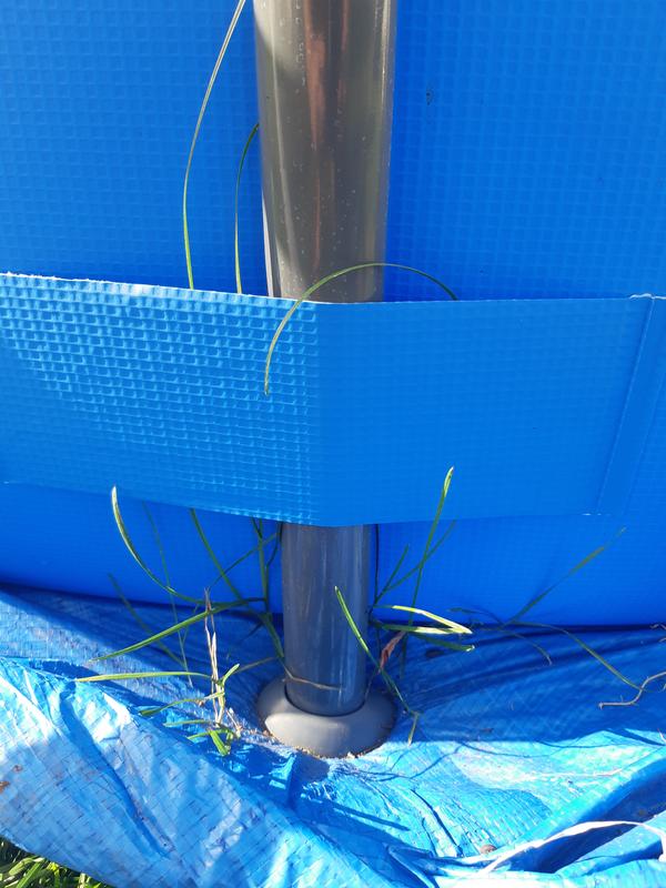 Photo - commentaire 1.