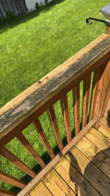 Photo - commentaire 2.