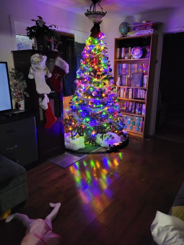 Photo - commentaire 8.